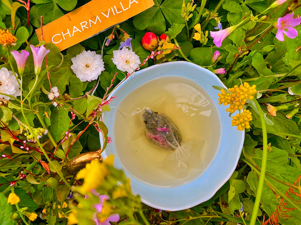 引用：CHARM VILLA